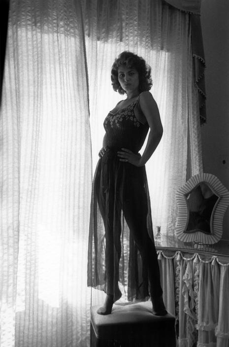 Sophia Loren