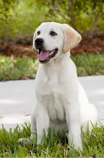 Marley