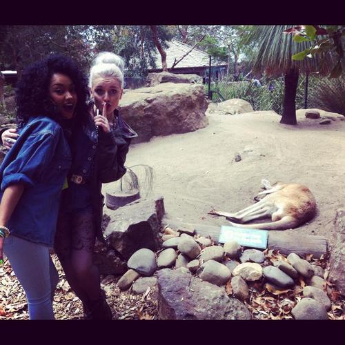 Perrie Edwards Perrie Edwards