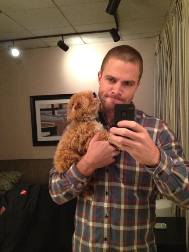 Stephen Amell