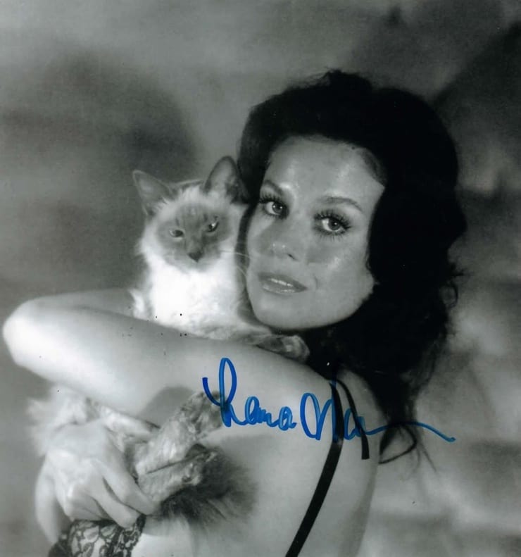 Picture of Lana Wood