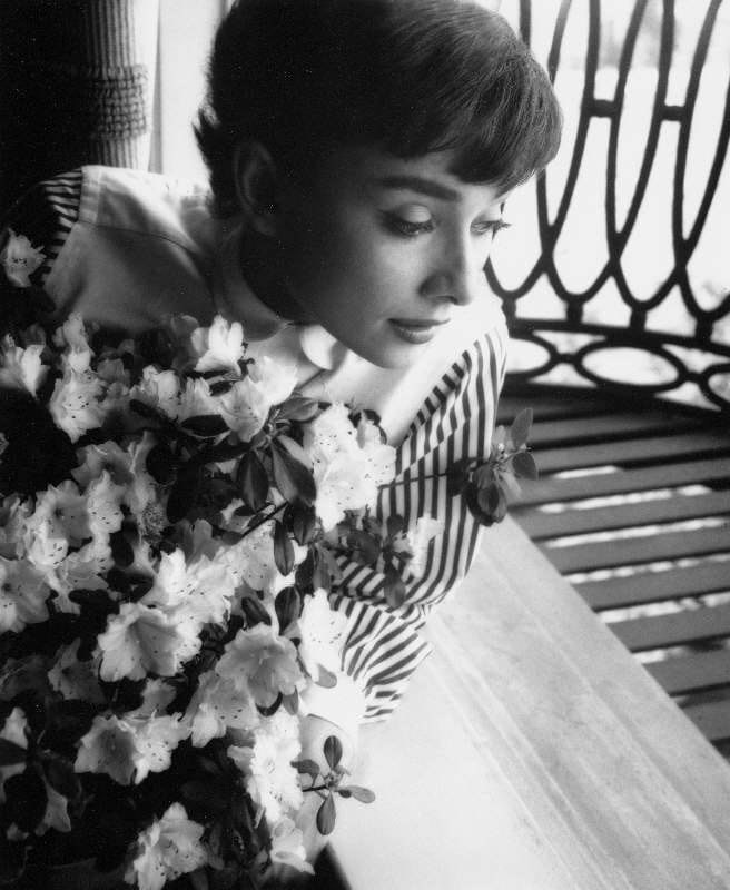 Audrey Hepburn Audrey Hepburn