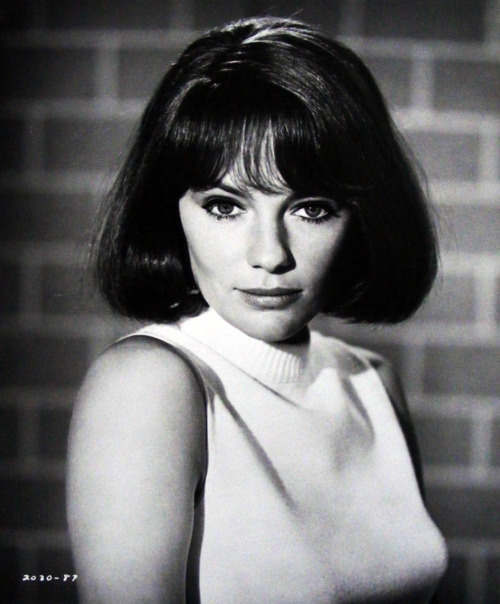 Jacqueline Bisset Jacqueline Bisset