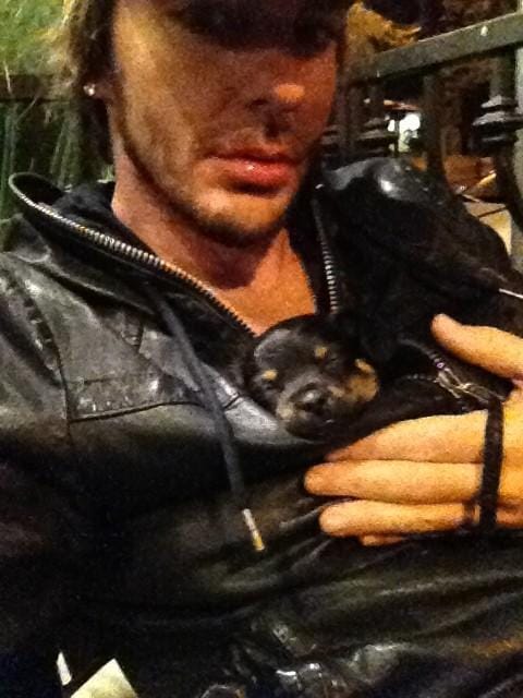 Shannon Leto