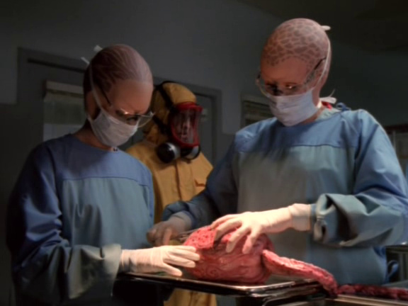 Alien Nation: The Enemy Within