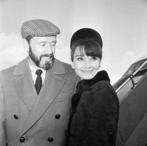Audrey Hepburn Audrey Hepburn
