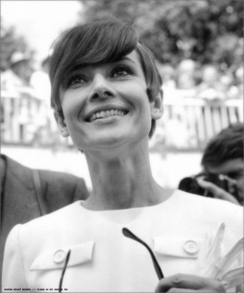 Audrey Hepburn Audrey Hepburn