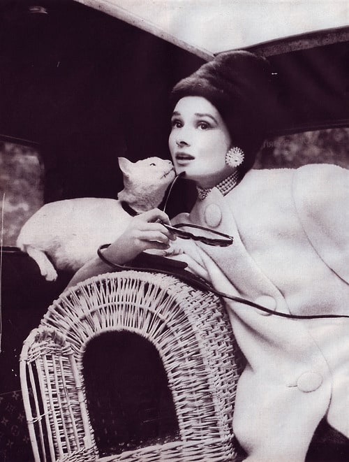 Audrey Hepburn Audrey Hepburn