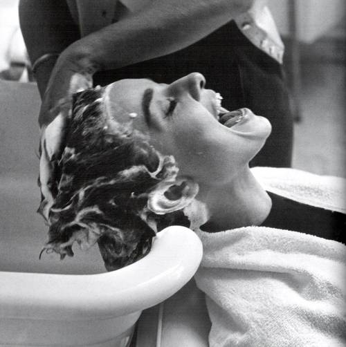 Audrey Hepburn Audrey Hepburn