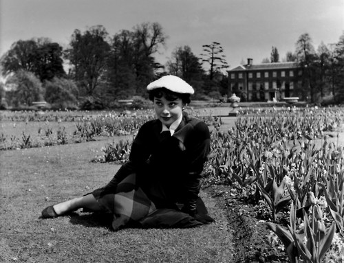 Audrey Hepburn Audrey Hepburn