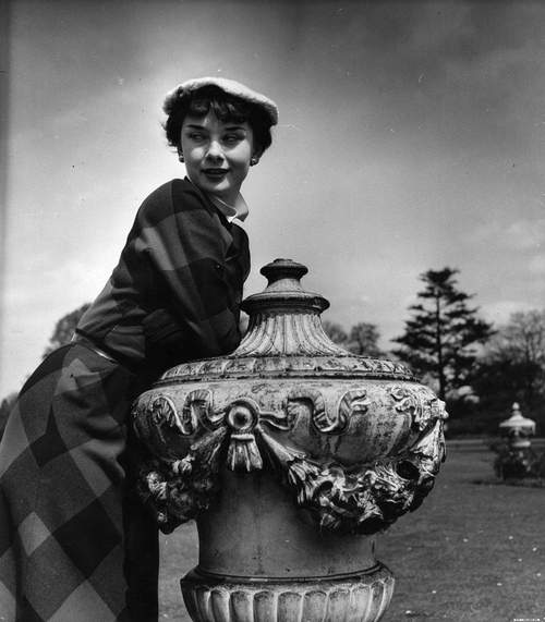 Audrey Hepburn Audrey Hepburn