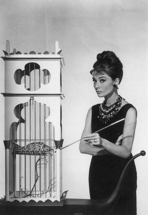 Audrey Hepburn Audrey Hepburn
