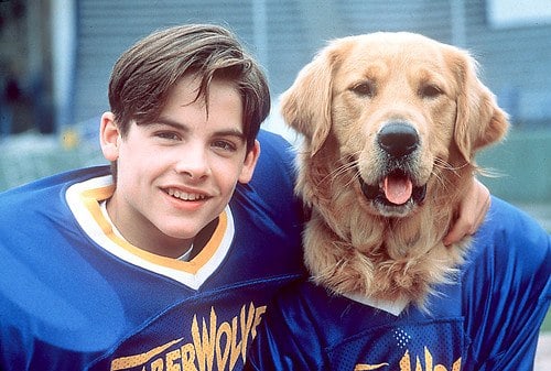 Air Bud: Golden Receiver