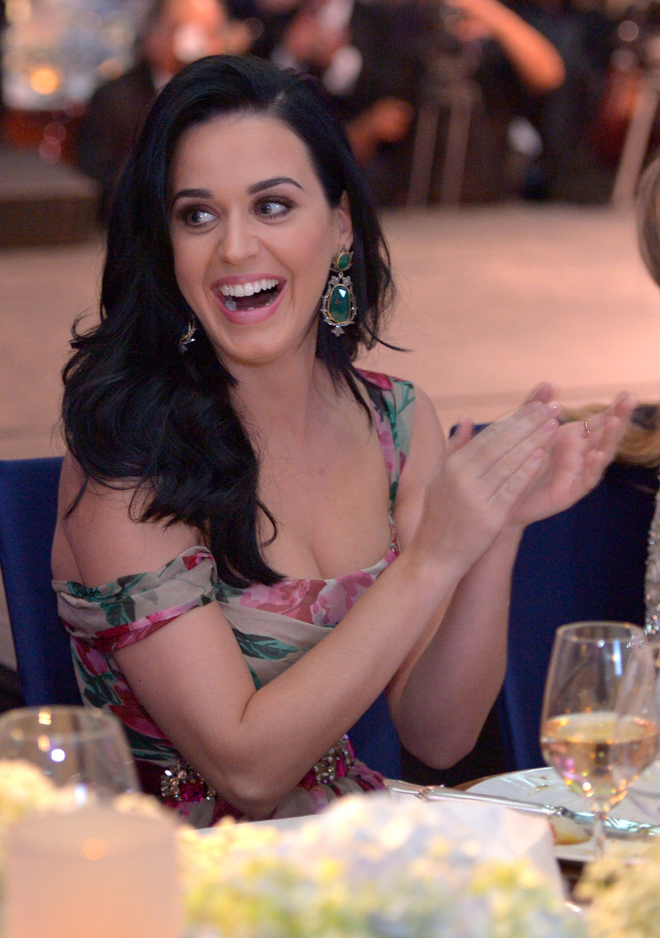 Katy Perry Katy Perry