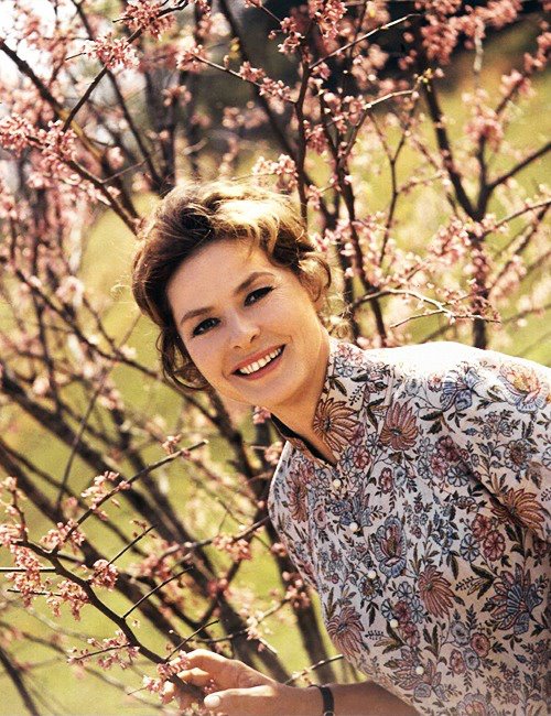 Ingrid Bergman Ingrid Bergman