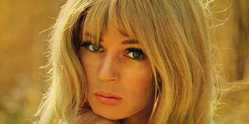 Yvonne Sparrbåge