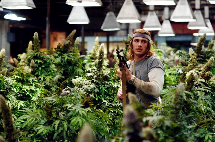 Pineapple Express (2008)