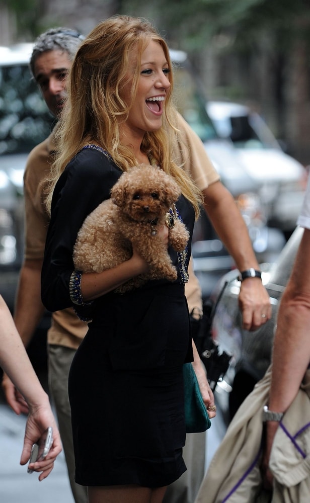 Blake Lively Blake Lively