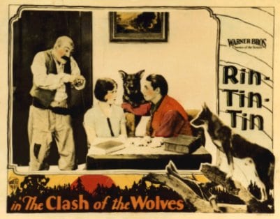 Clash of the Wolves