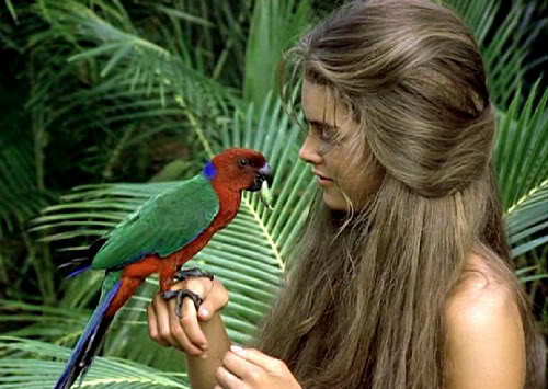 The Blue Lagoon