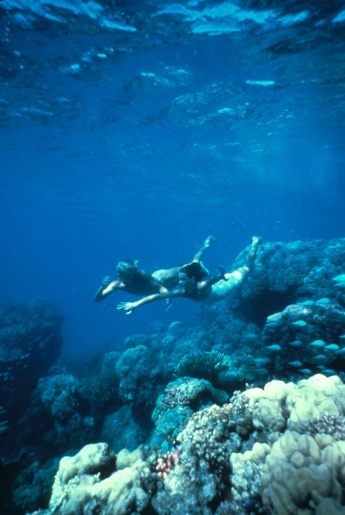 Picture of The Blue Lagoon
