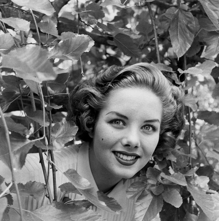 Colleen Townsend Colleen Townsend