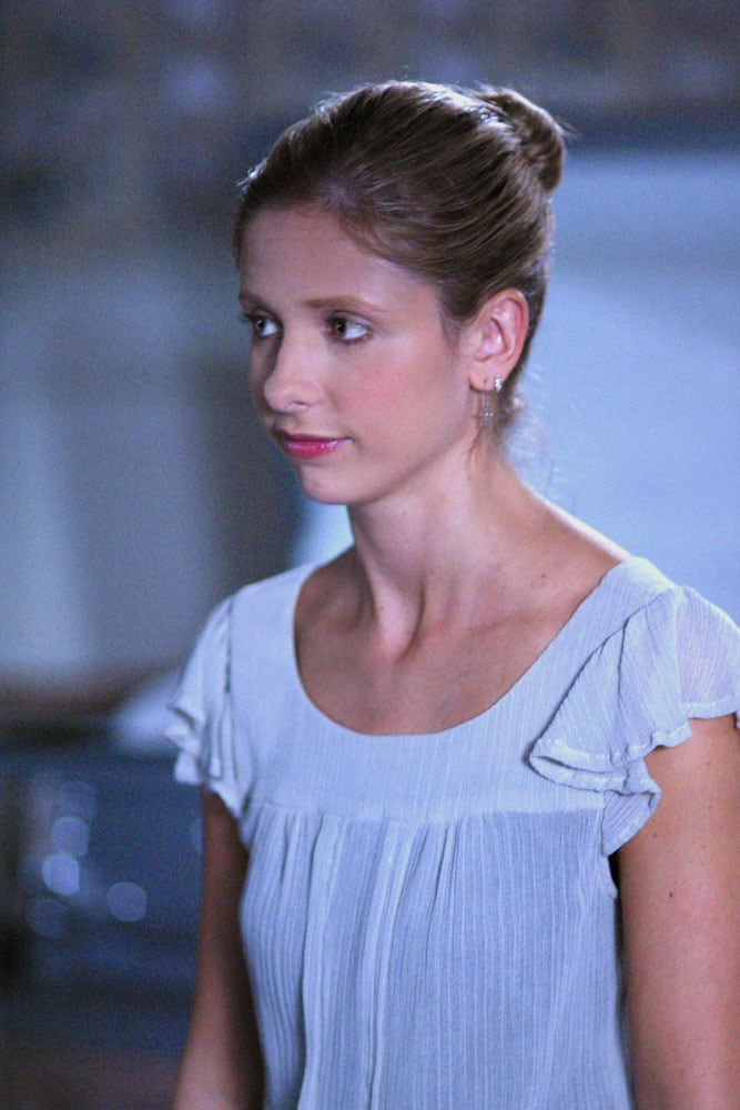 Buffy the Vampire Slayer Buffy the Vampire Slayer