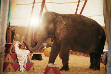 Water for Elephants