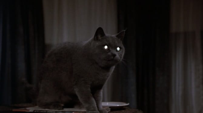 Pet Sematary