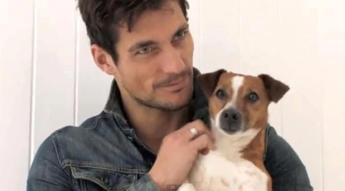 David Gandy