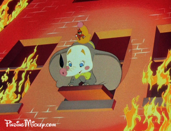 Dumbo Dumbo