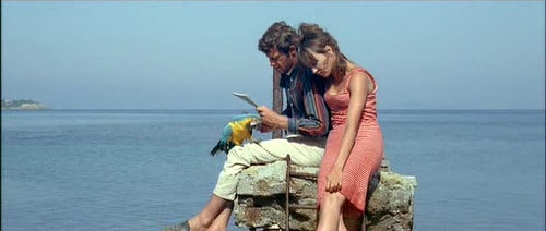 Pierrot le Fou