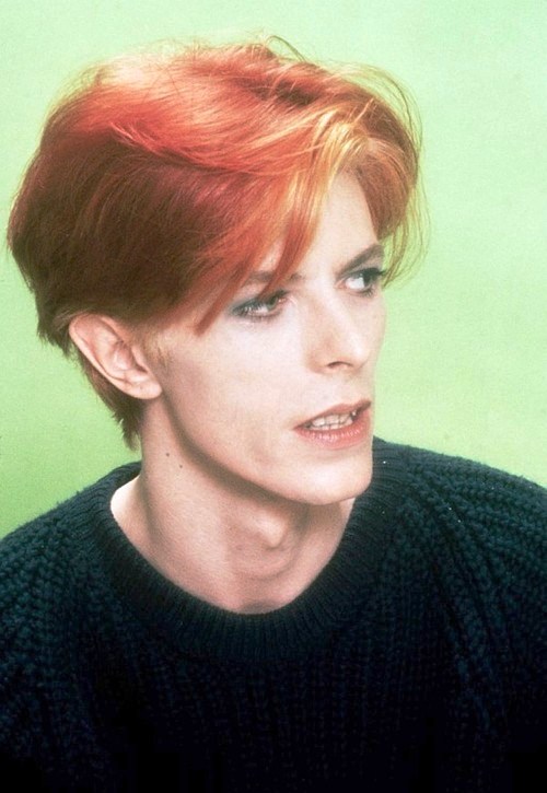 David Bowie