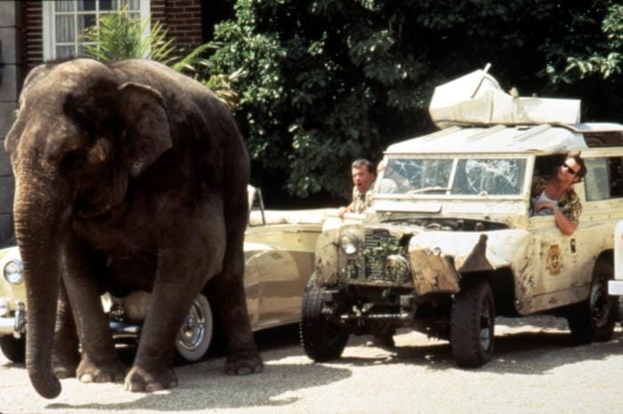 Ace Ventura: When Nature Calls Ace Ventura: When Nature Calls