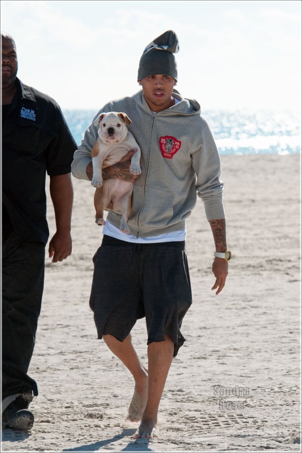 Chris Brown