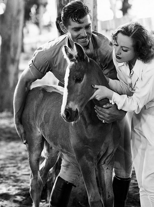 Clark Gable Clark Gable