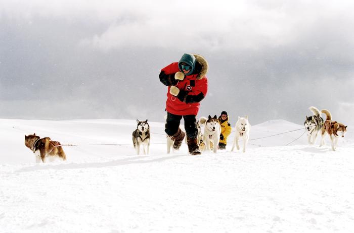 Eight Below