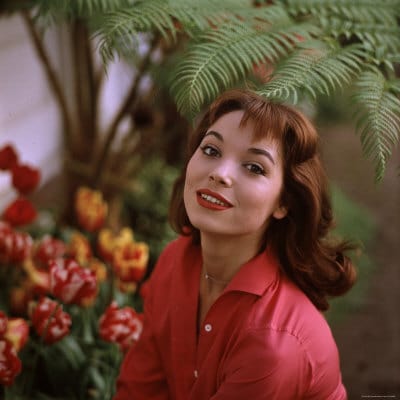 Elsa Martinelli Elsa Martinelli
