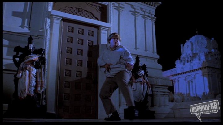 Beverly Hills Ninja