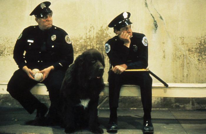 Police Academy