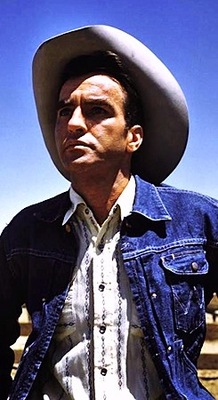The Misfits
