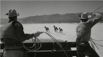 The Misfits