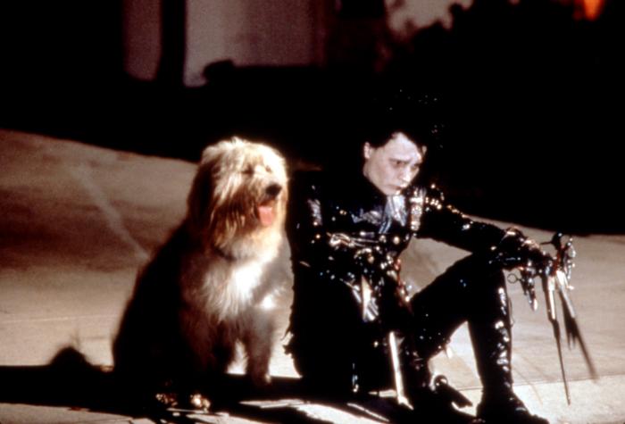 Edward Scissorhands