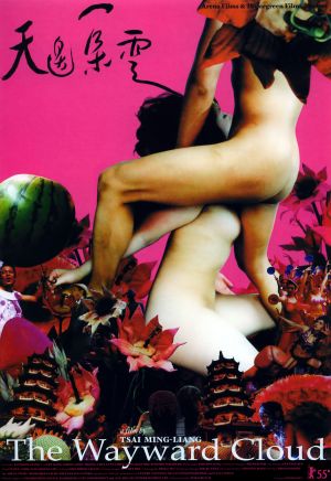 The Wayward Cloud (2005)