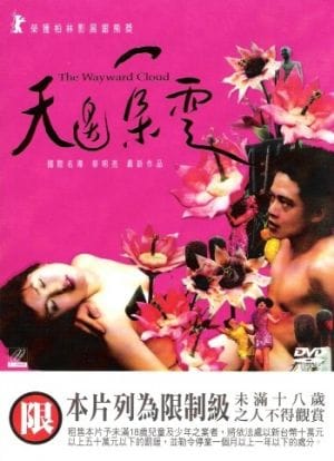 The Wayward Cloud (2005)