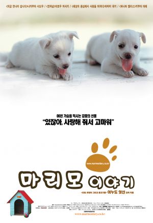 All About My Dog All About My Dog
