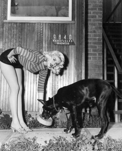 Jayne Mansfield Jayne Mansfield