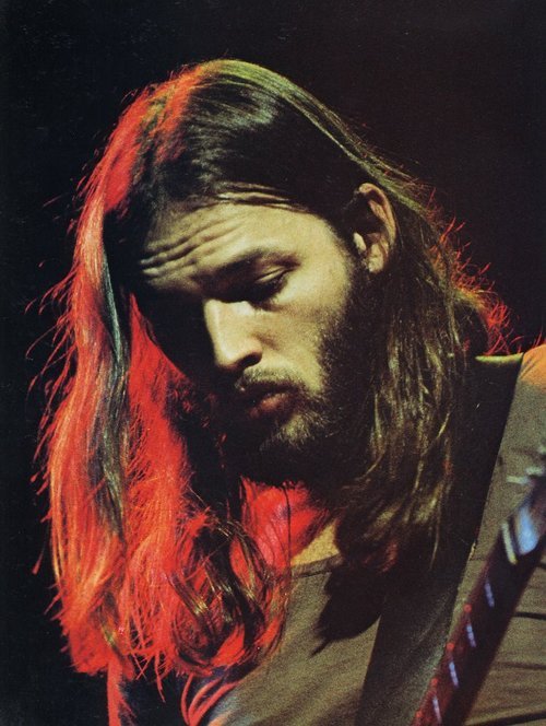David Gilmour