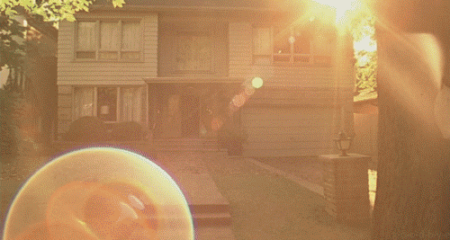 The Virgin Suicides