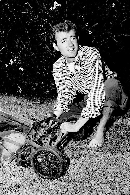 Robert Walker